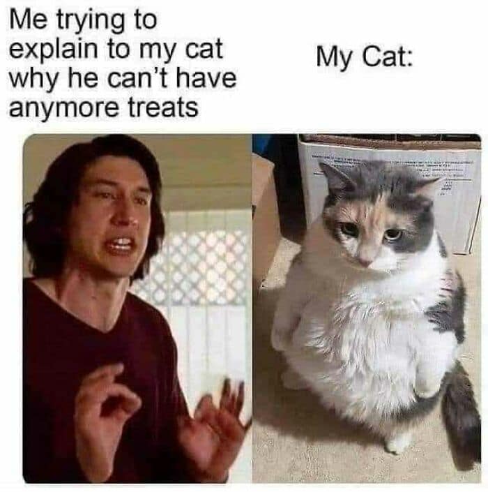 funny memes, funny images, funny pics, funniest memes