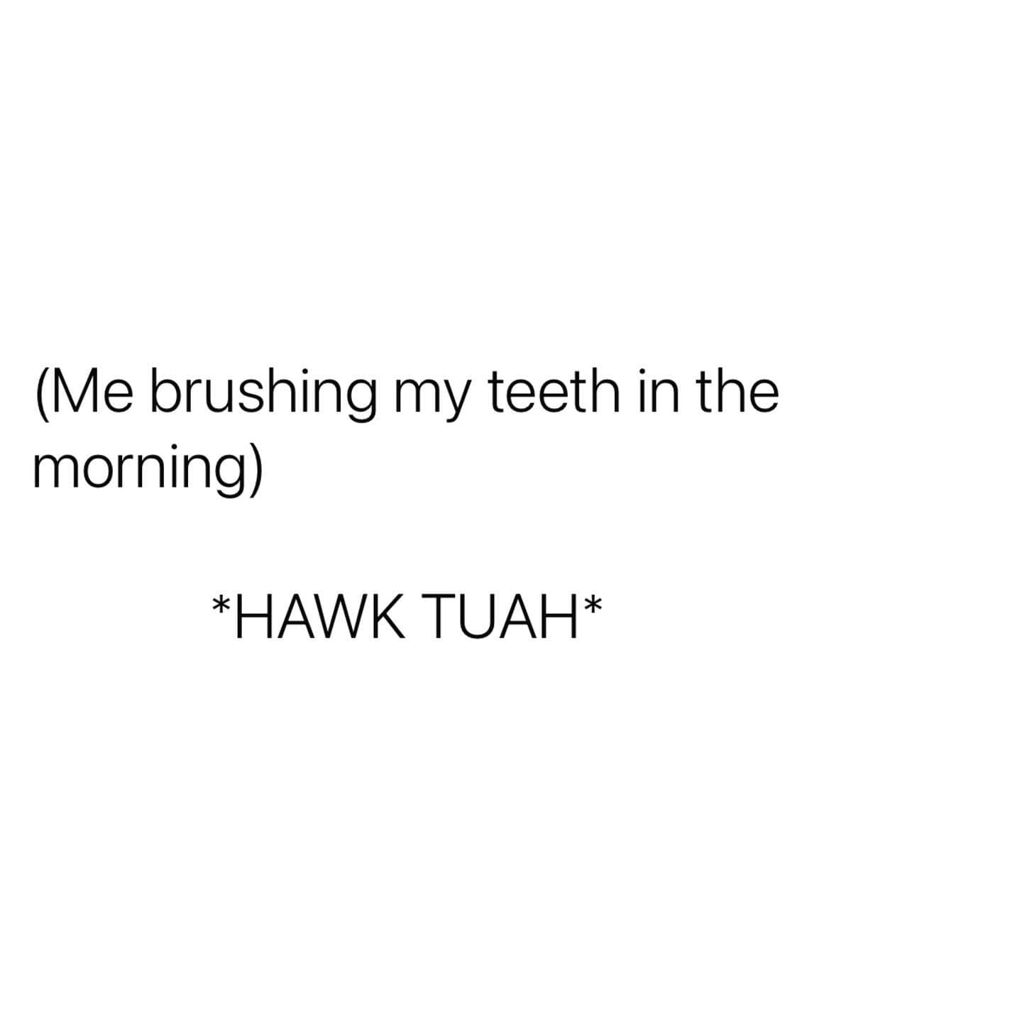 funny memes. (Me brushing my teeth in the morning) *HAWK TUAH*