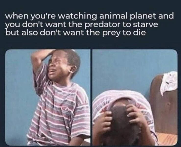 funny memes. when you're watching animal planet and you don't want the predator to starve but also don't want the prey to die