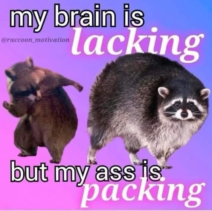funny memes. my brain is lacking but my ass is packing