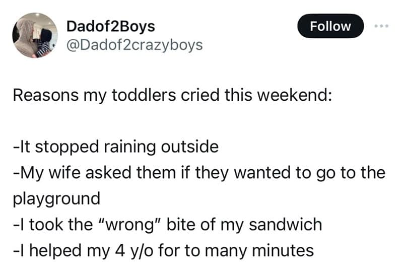 Reasons my toddlers cried this weekend: -It stopped raining outside -My wife asked them if they wanted to go to the playground -I took the "wrong" bite of my sandwich -I helped my 4 y/o for to many minutes