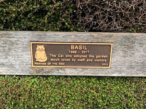funny park bench plaques. The Cat who adopted the garden much loved by staff and visitors