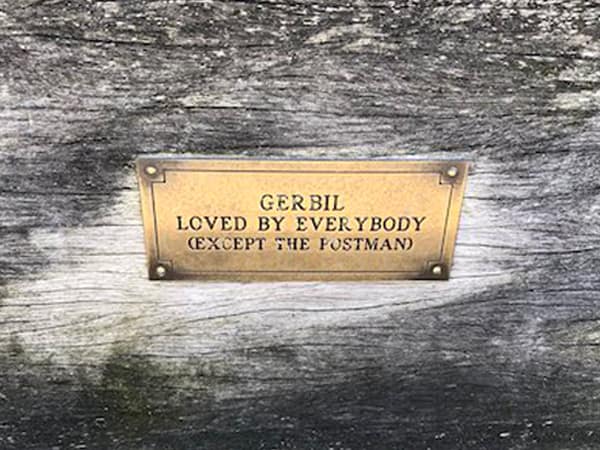 funny park bench plaques. GER BIL LOVED BY EVERYBODY EXCEPT THE FOSTMAN)
