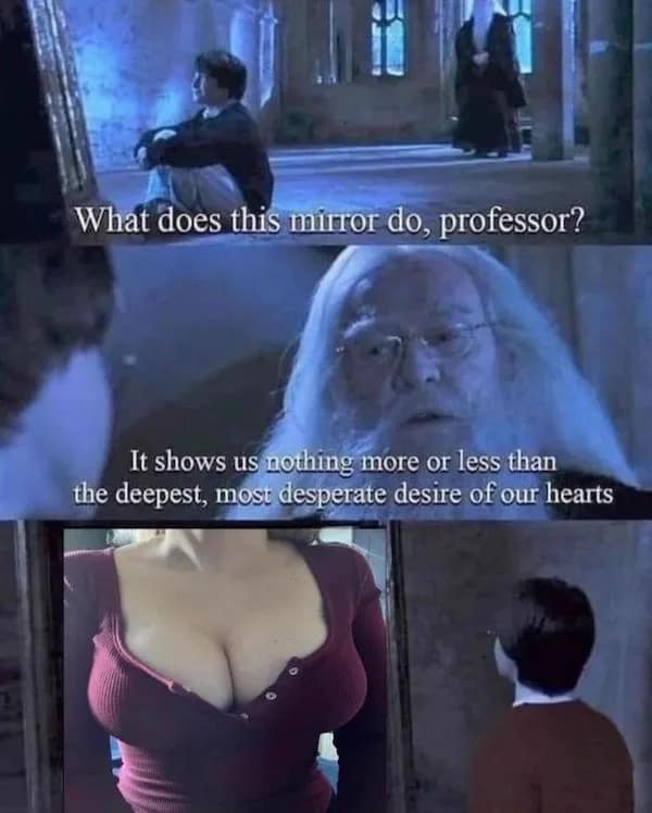 funny pics. What does this mirror do, professor? It shows us nothing more or less than the deepest, most desperate desire of our hearts