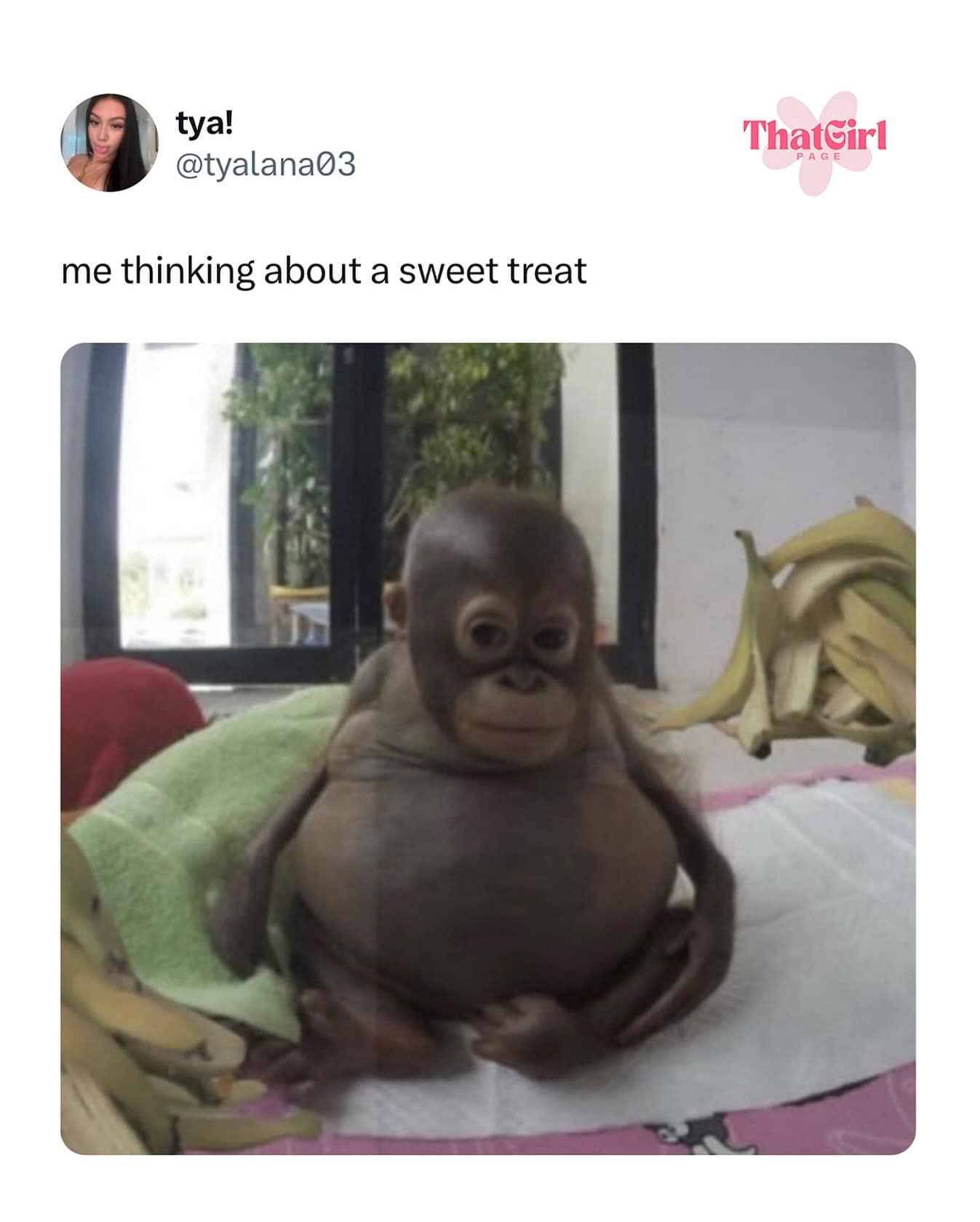 funny pics. me thinking about a sweet treat