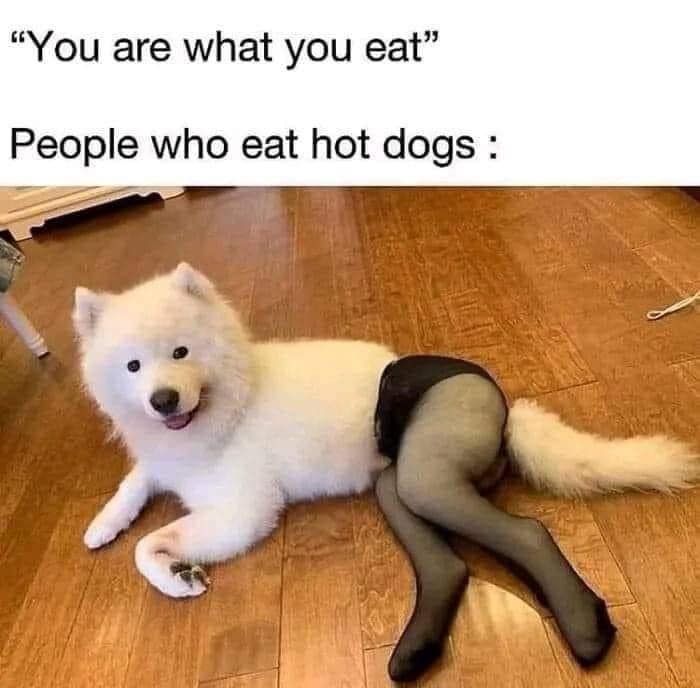 funny pics. "You are what you eat" People who eat hot dogs