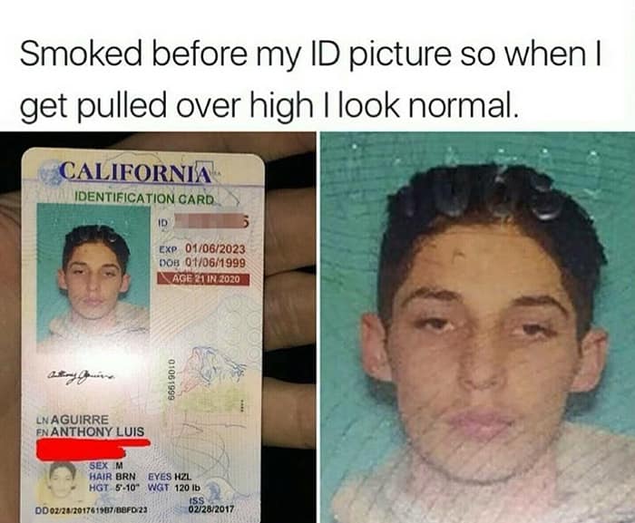 funny pics. Smoked before my ID picture so when I get pulled over high I look normal.