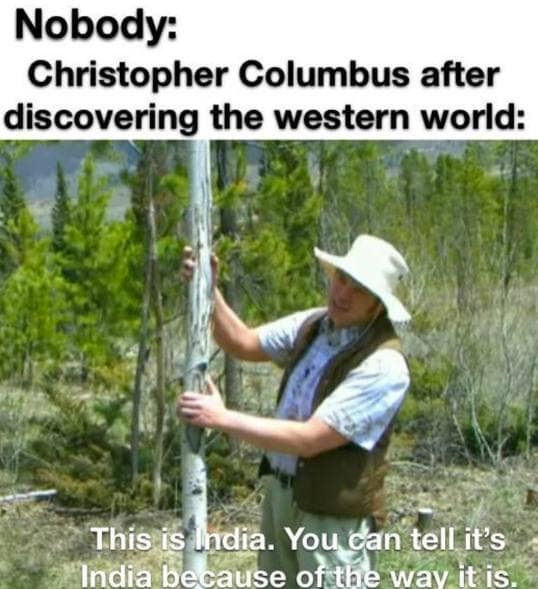 funny pics. Nobody: Christopher Columbus after discovering the western world: This is India. You can tell it's India because of the wav