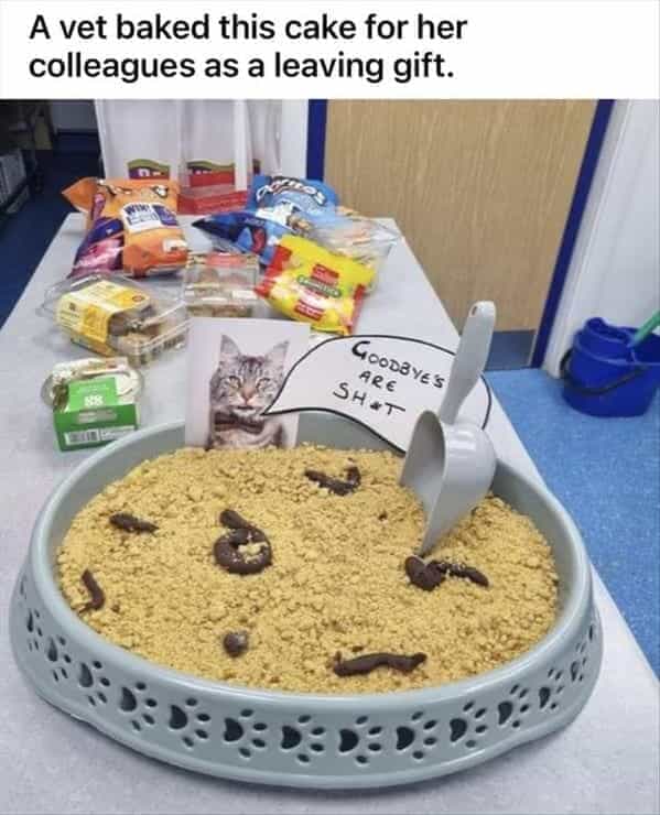funny pics. A vet baked this cake for her colleagues as a leaving gift.