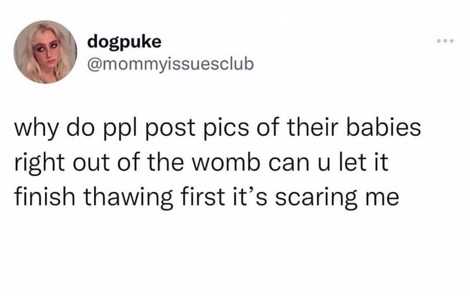 funny pics, funny pics, funny memes, funny photos, funniest pics