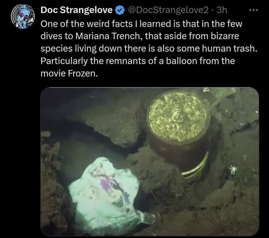 funny pics, funny memes, funny photos, funniest pictures