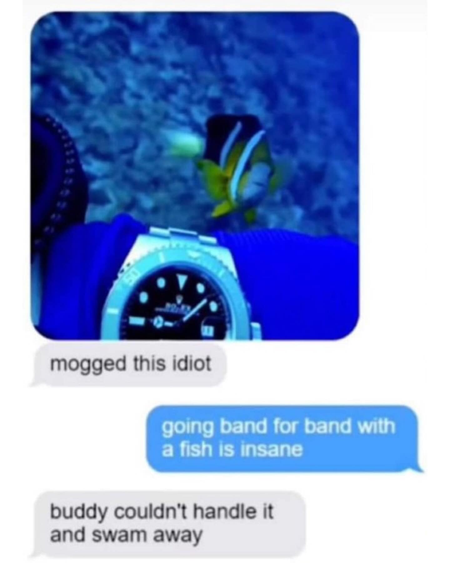 funny pics. mogged this idiot going band for band with a fish is insane buddy couldn't handle it and swam away