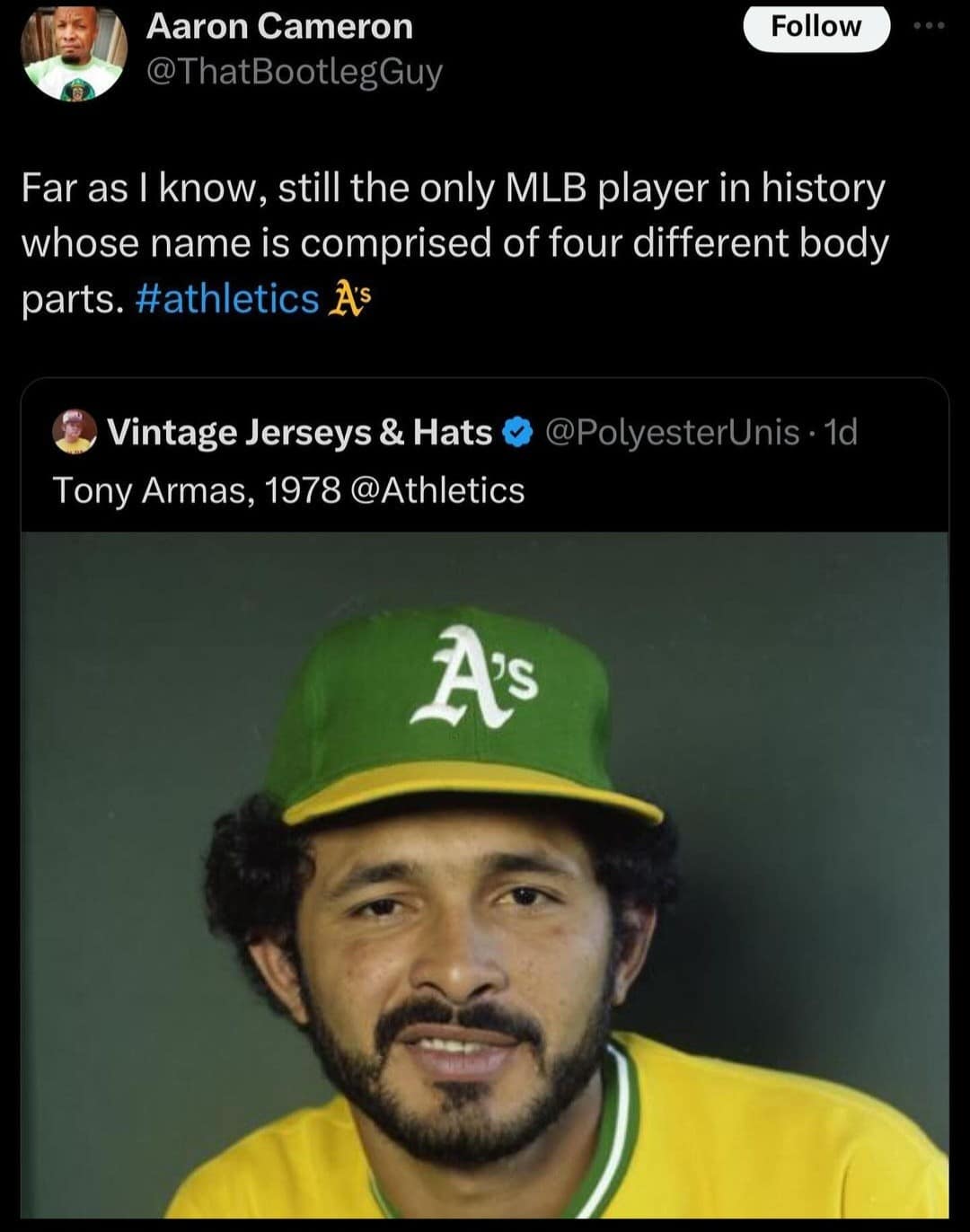 funny pics, funny memes, funny photos, funniest pics