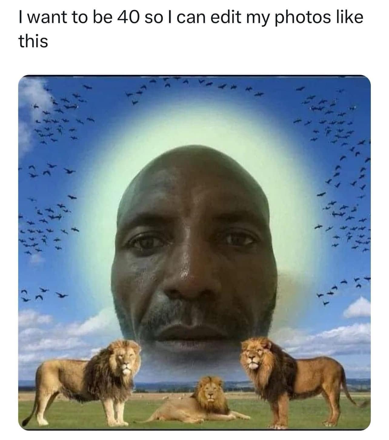 funny pics. I want to be 40 so I can edit my photos like this