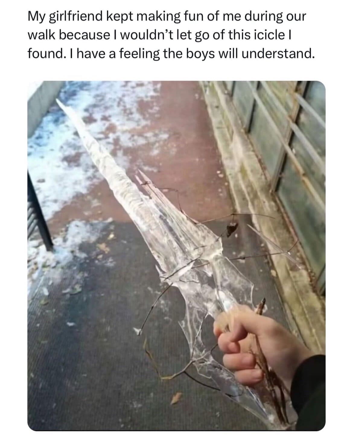 funny pics, funny memes, funny photos, funniest pictures