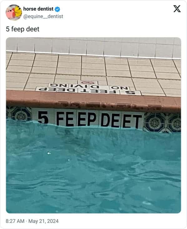 funny pics. 5 feep deet