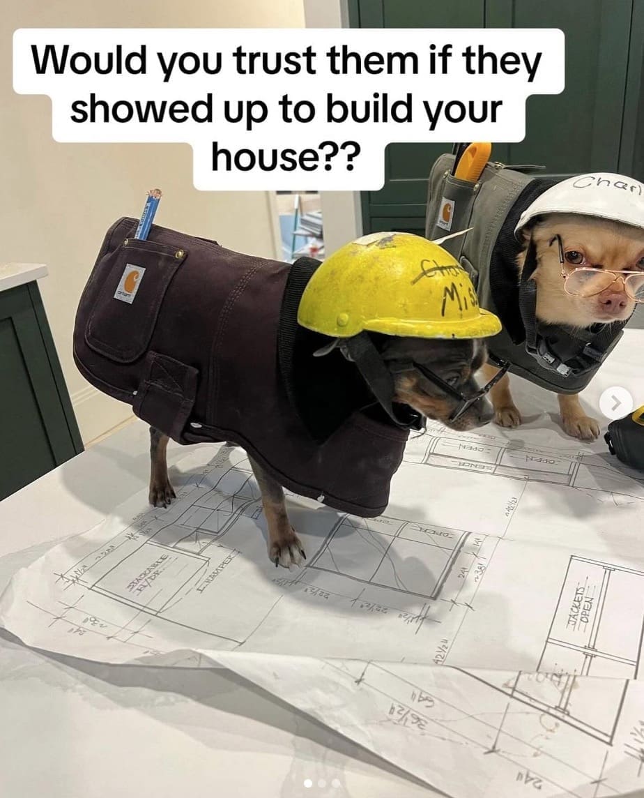 funny pics, funny memes, funny photos, funniest pics