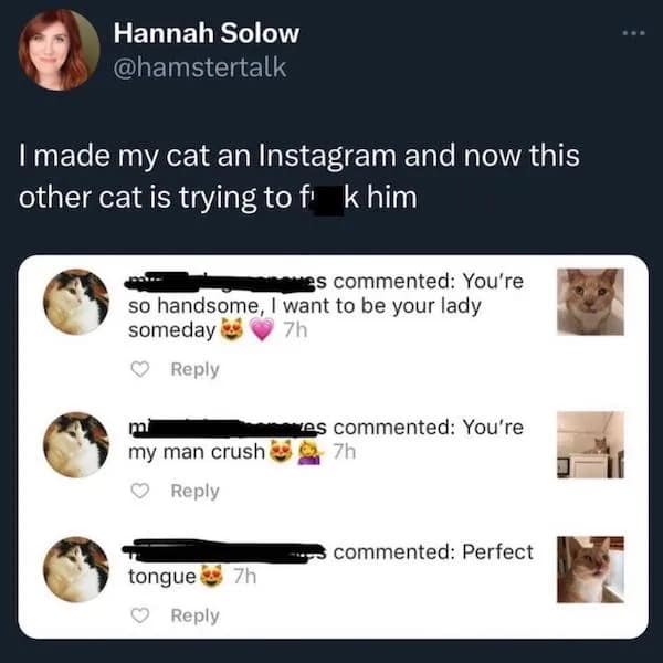 funny pics. I made my cat an Instagram and now this other cat is trying to f k him