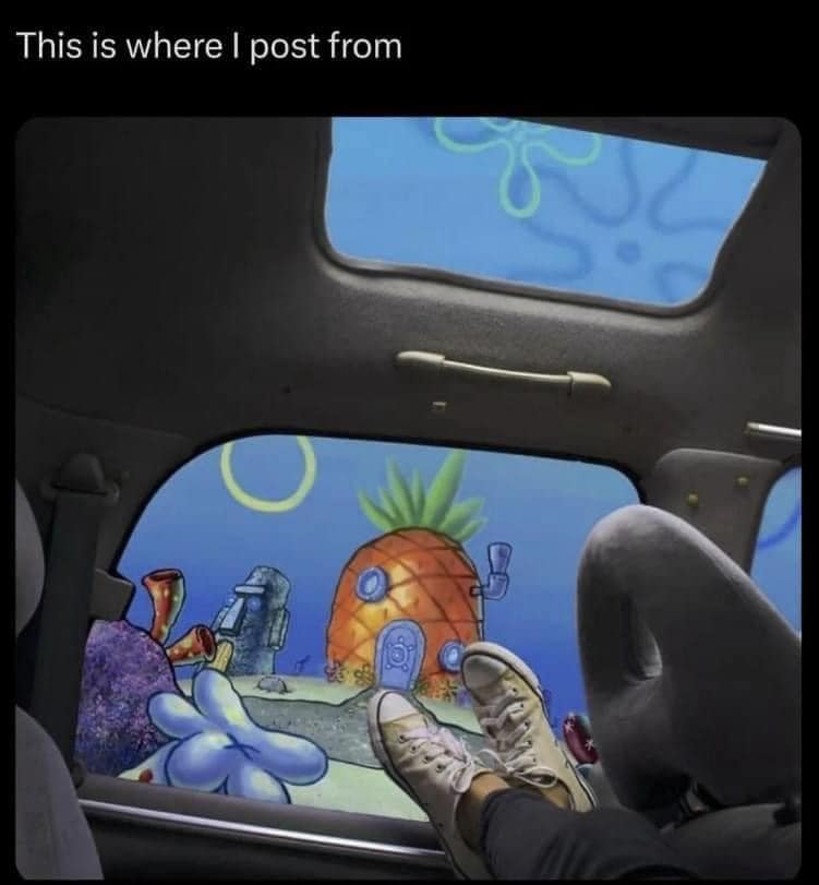 funny pics, funny memes, funny photos, funniest pics