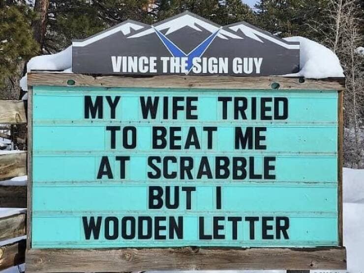 funny pun memes. MY WIFE TRIED TO BEAT ME AT SCRABBLE BUT I WOODEN LETTER