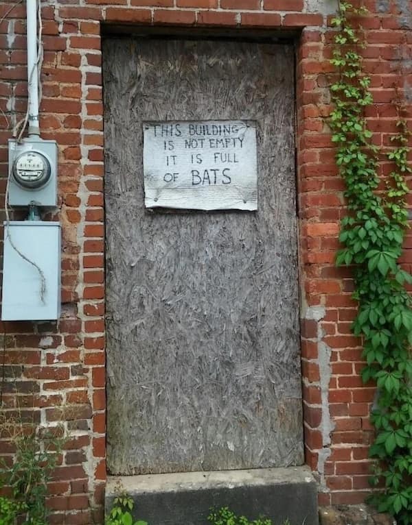 Hilarious Signage, Public Warning Humor, Unexpected Signs, Witty Placards, Amusing Notices, Public Service Laughs