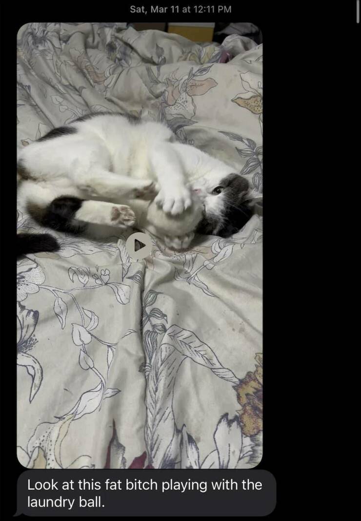 funny texts, hilarious message exchanges, hilarious messages, funny text exchanges, humorous text exchanges, comical text exchanges, text fails, messaging mishaps