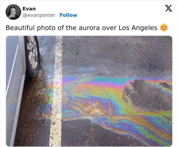 funny tweets, hilarious tweets, trending tweets, humor on Twitter, Twitter trends, side-splitting tweets, comical tweets, witty Twitter posts