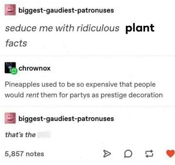 gardening memes, plant memes, houseplant memes, garden humor memes, ndoor plant memes, potted plant memes, gardening jokes, horticulture memes