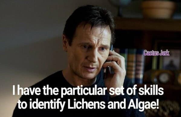 gardening memes, plant memes, houseplant memes, garden humor memes, ndoor plant memes, potted plant memes, gardening jokes, horticulture memes