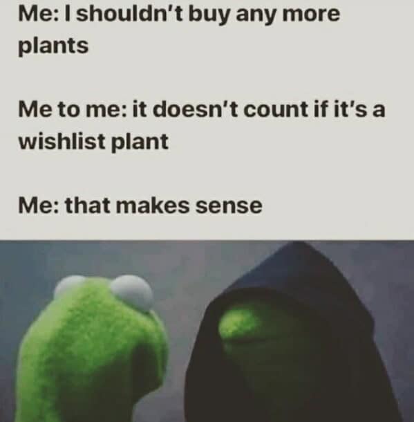 gardening memes, plant memes, houseplant memes, garden humor memes, ndoor plant memes, potted plant memes, gardening jokes, horticulture memes