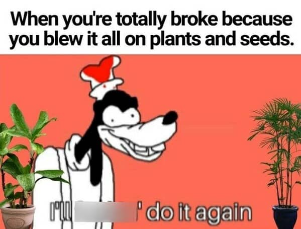 gardening memes, plant memes, houseplant memes, garden humor memes, ndoor plant memes, potted plant memes, gardening jokes, horticulture memes