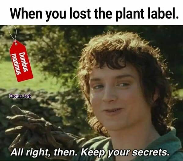 gardening memes, plant memes, houseplant memes, garden humor memes, ndoor plant memes, potted plant memes, gardening jokes, horticulture memes