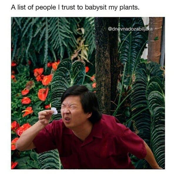 gardening memes, plant memes, houseplant memes, garden humor memes, ndoor plant memes, potted plant memes, gardening jokes, horticulture memes
