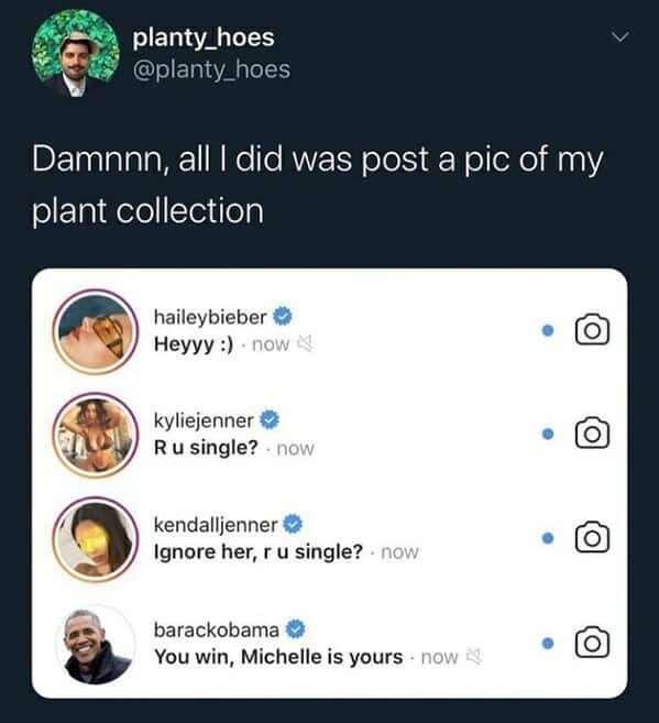 gardening memes, plant memes, houseplant memes, garden humor memes, ndoor plant memes, potted plant memes, gardening jokes, horticulture memes