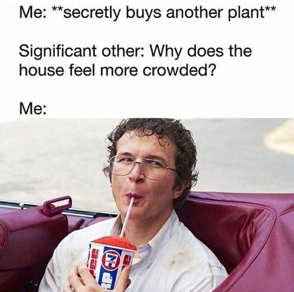 gardening memes, plant memes, houseplant memes, garden humor memes, ndoor plant memes, potted plant memes, gardening jokes, horticulture memes