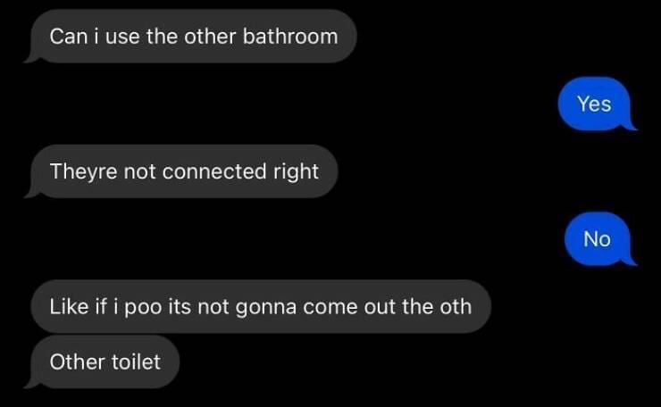 hilarious text messages. Can i use the other bathroom Theyre not connected right Like if i poo its not gonna come out the oth Other toilet