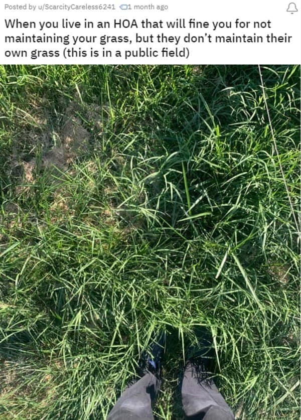 HOA nightmares. When you live in an HOA that will fine you for not maintaining your grass, but they don't maintain their own grass (this is in a public field)
