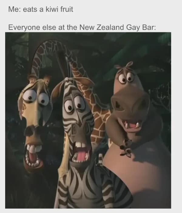 hold up memes, unexpected twists, Confusing Memes, Internet Humor, Pause-Inducing Memes, Bewildering Images, Surreal Humor