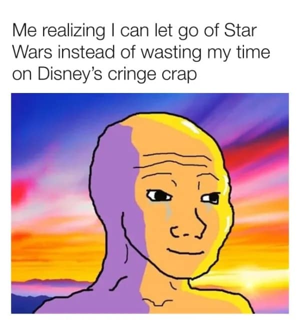 honest memes. Me realizing I can let go of Star Wars instead of wasting my time on Disney's cringe crap