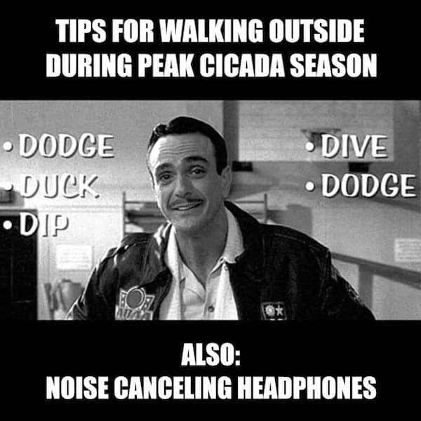 honest memes. TIPS FOR WALKING OUTSIDE DURING PEAK CICADA SEASON • DODGE a DUCK. • DIP • DIVE • DODGE ALSO: NOISE CANCELING HEADPHONES
