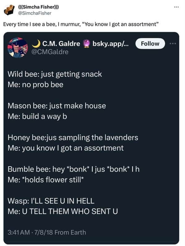 Wild bee: just getting snack Me: no prob bee Mason bee: just make house Me: build a way b Honey bee:jus sampling the lavenders Me: you know I got an assortment Bumble bee: hey *bonk* I jus *bonk* I h Me: *holds flower still Wasp: I'LL SEE U IN HELL Me: U TELL THEM WHO SENT U
