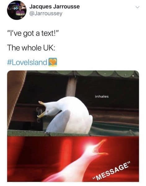 love island memes, trashy reality TV, dating shows
