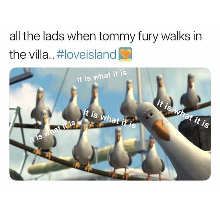 love island memes, trashy reality TV, dating shows