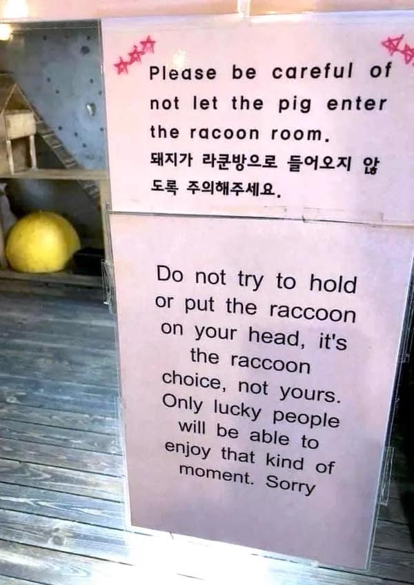 meme dump, funny memes, hilarious memes, Saturday memes, weekend humor, comedy collection, meme compilation, laughter fest, humor roundup