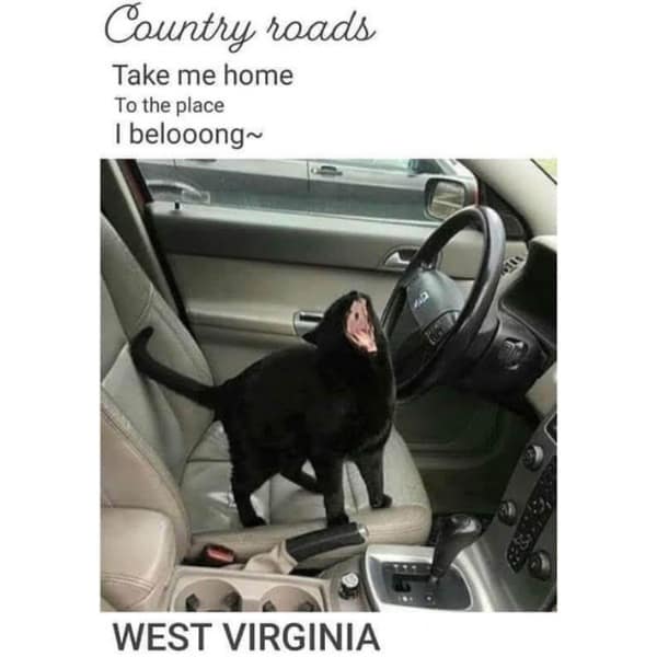 meme dump, funny memes, hilarious memes, Saturday memes, weekend humor, comedy collection, meme compilation, laughter fest, humor roundup