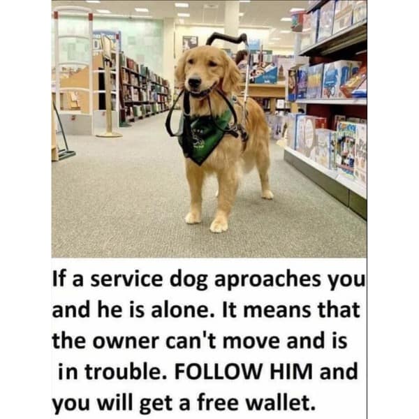 meme dump, funny memes, hilarious memes, Saturday memes, weekend humor, comedy collection, meme compilation, laughter fest, humor roundup