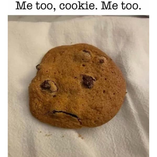 meme dump, hilarious memes, sunday memes, weekly memes, Sunday meme madness, laugh break memes, meme collection, meme roundup, meme bonanza