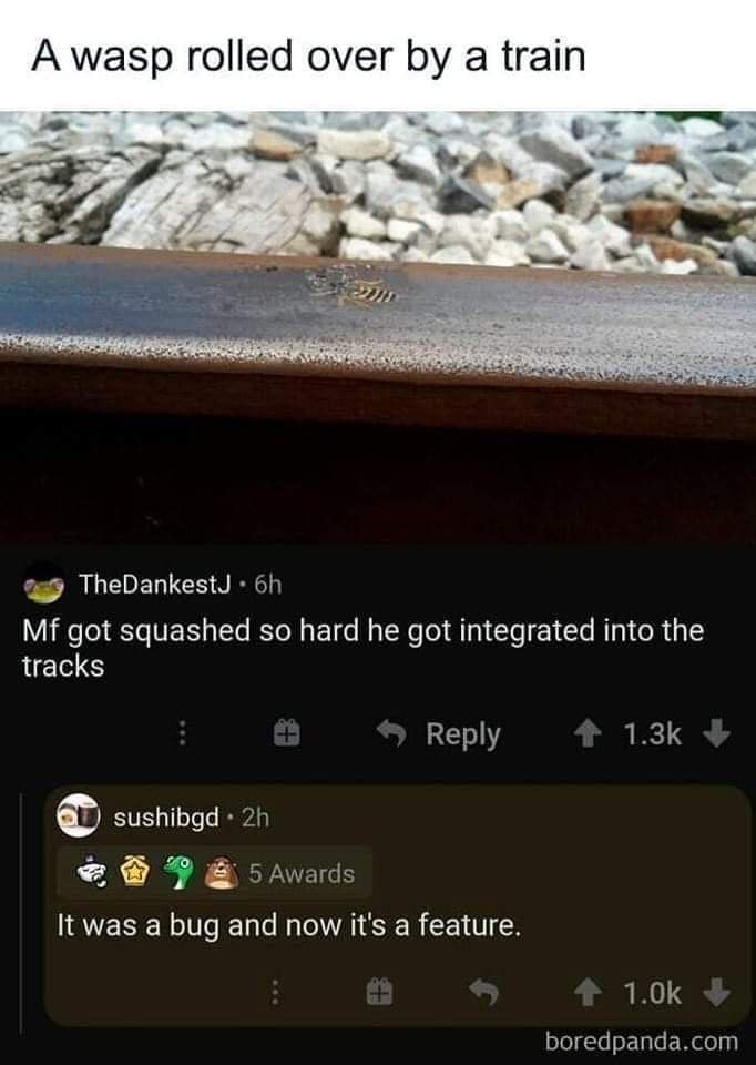 meme dump, funny memes, hilarious memes, lazy Sunday memes, humorous memes, meme collection, laughter repository, chuckle compilation, meme extravaganza