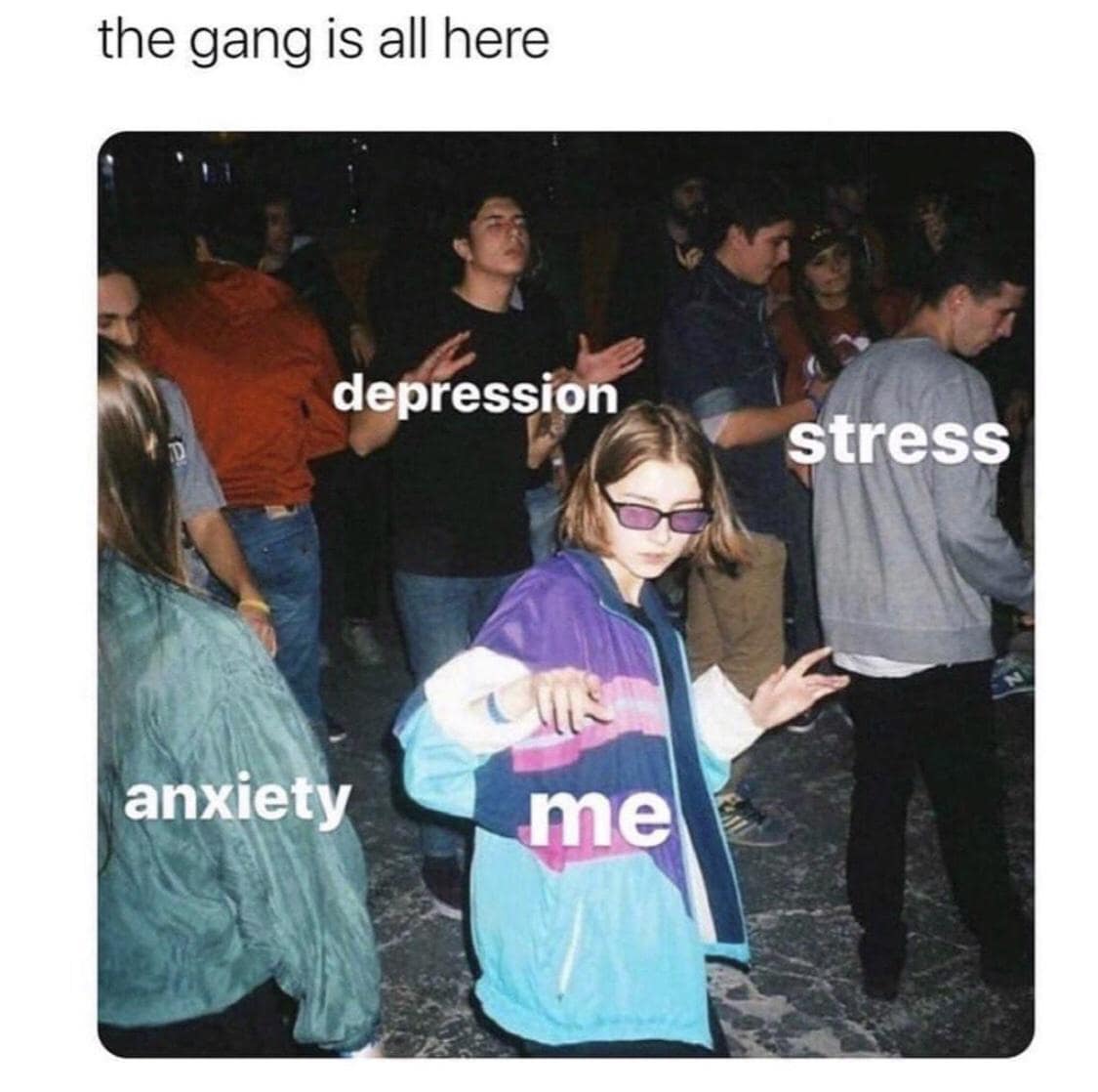 meme dump, funny memes, hilarious memes, viral memes, hilarious internet memes, meme collection, humorous memes, funny pictures