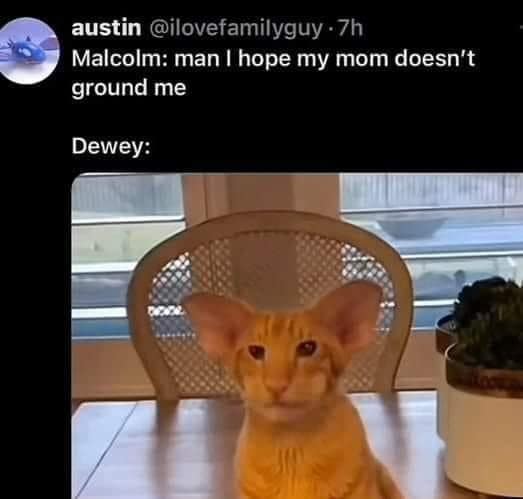 meme dump, hilarious memes, weekly memes, Sunday meme madness, laugh break memes, meme collection, meme roundup, meme bonanza